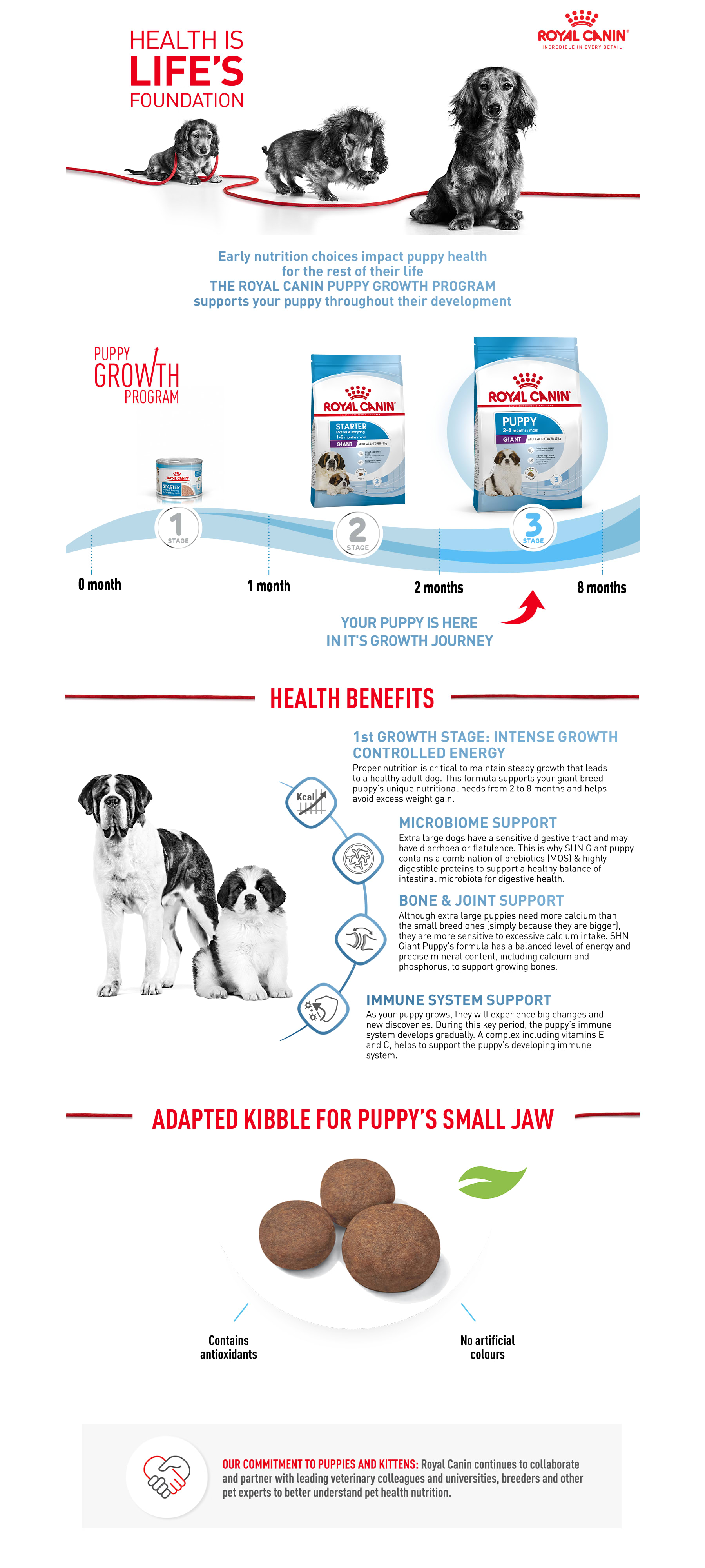 Royal Canin Size Health Nutrition Puppy Giant Dry Pet Food for Dog 15kg